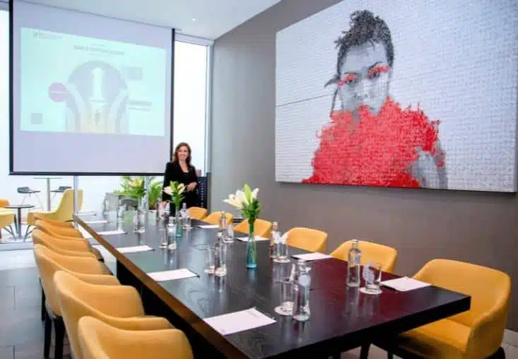 Material institucional de programas para Wedding y Event Planners